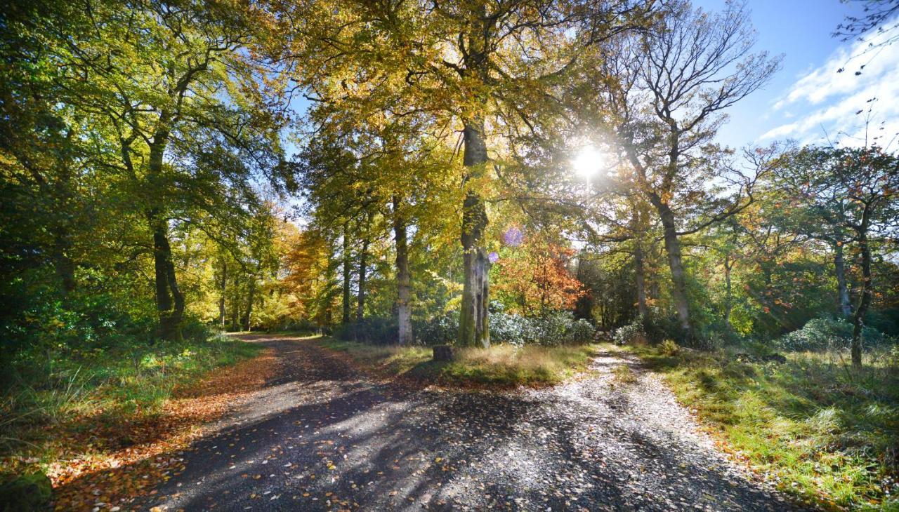 Loch Lomond Finnich Cottages Drymen Bagian luar foto